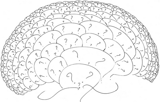 Cliquez pour agrandir l'image Cliquez pour agrandir l'image